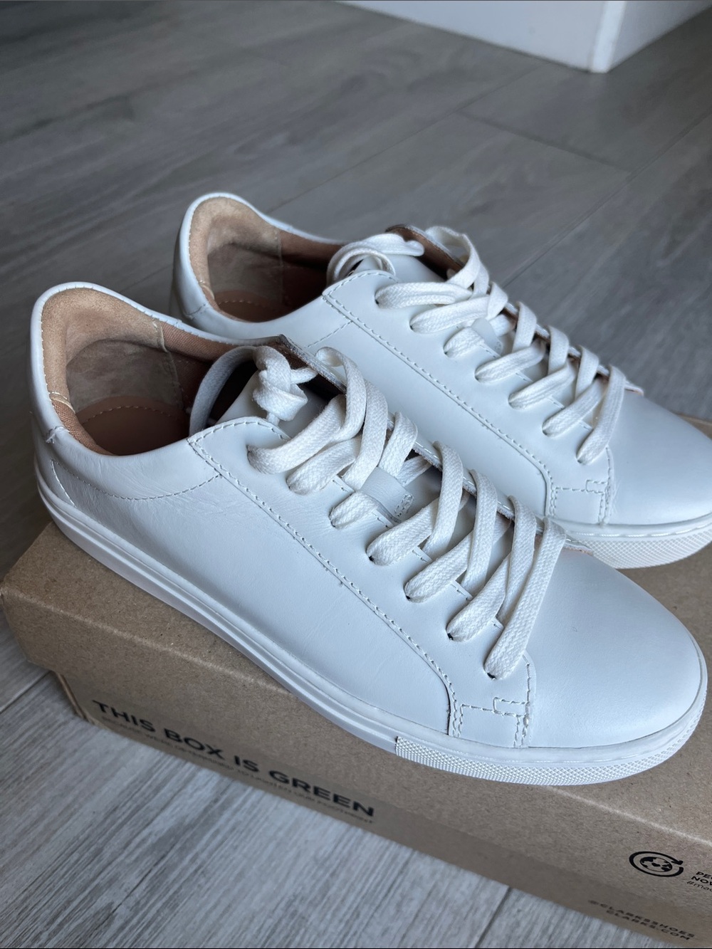 Quince Everday White Leather Low-Top Sneakers 7.5 NWOT